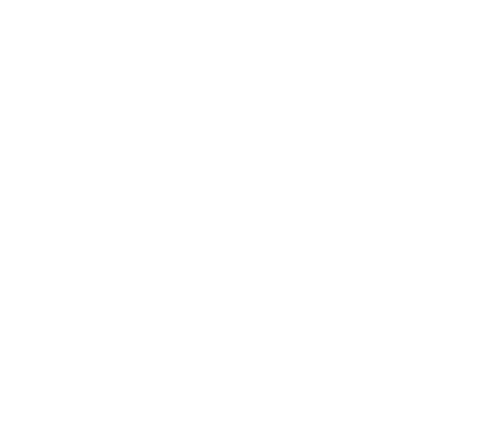 Elite Building White Logo